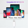Chargeur USB-C / Type-C simple 2 en 1 PD 18W + USB-C / Type-C à 8 broches, longueur du câble: 1 m (prise UE) - Wakeshopes